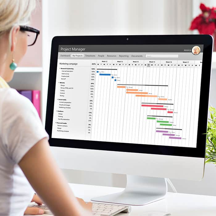 Woman analyzing Gantt chart on desktop computer screen